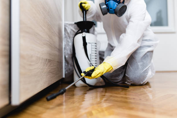 Best Residential Pest Control  in Royal Oak, MI