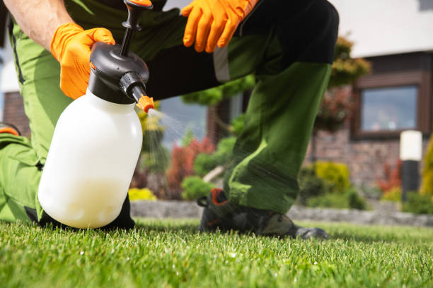 Best Pest Control Near Me  in Royal Oak, MI